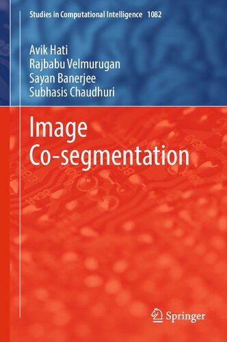 Image Co-segmentation (PDF/EPUB Version)
