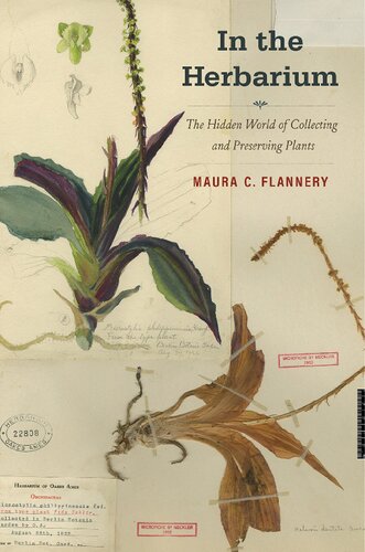 In the Herbarium: The Hidden World of Collecting and Preserving Plants (PDF/EPUB Version)
