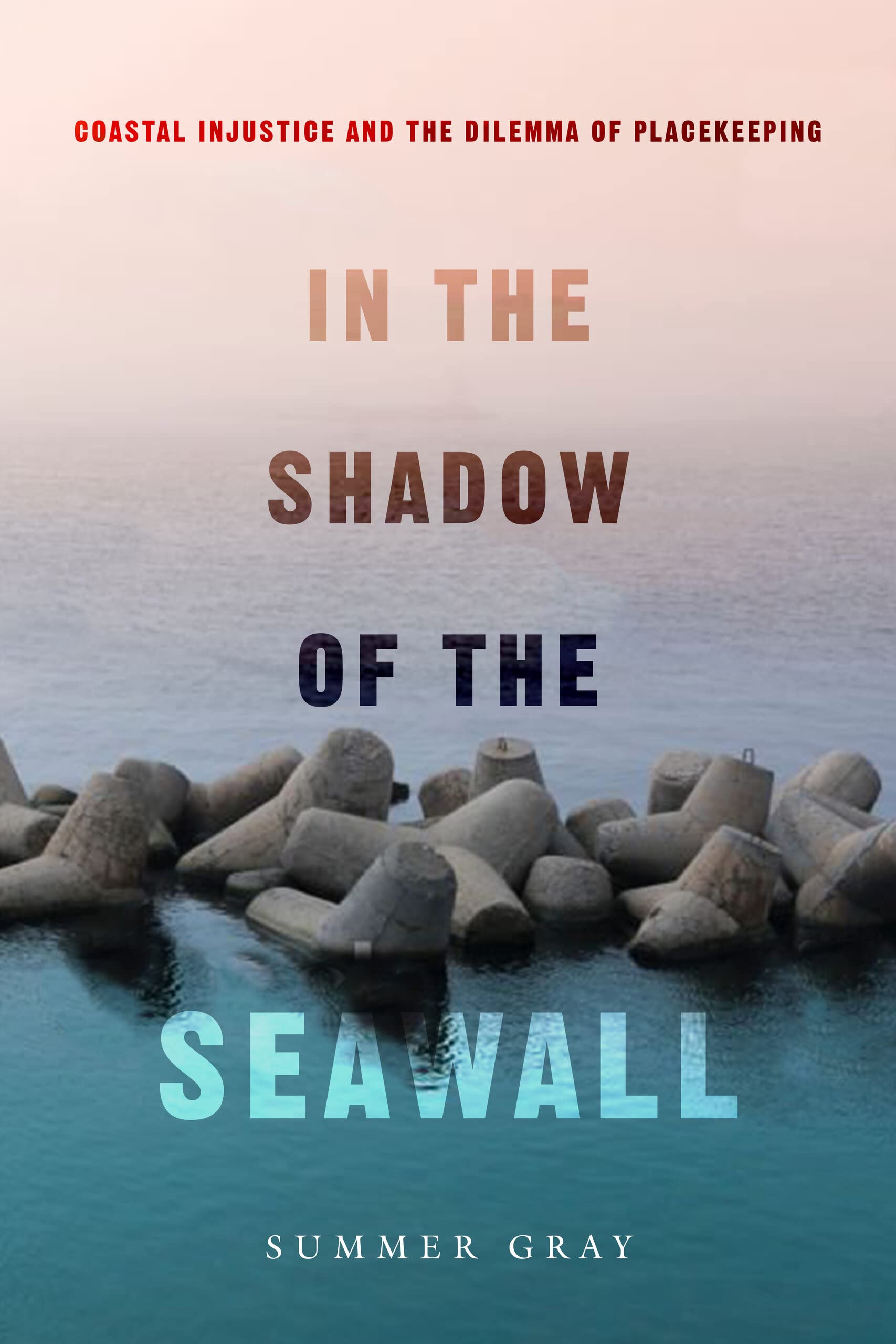 In the Shadow of the Seawall: Coastal Injustice and the Dilemma of Placekeeping (PDF/EPUB Version)

