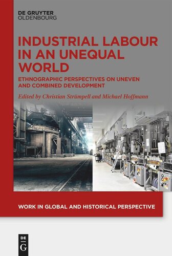 Industrial Labour in an Unequal World: Ethnographic Perspectives on Uneven and Combined Development (PDF/EPUB Version)
