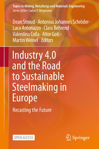 Industry 4.0 and the Road to Sustainable Steelmaking in Europe: Recasting the Future (Topics in Mining, Metallurgy and Materials Engineering) (PDF/EPUB Version)