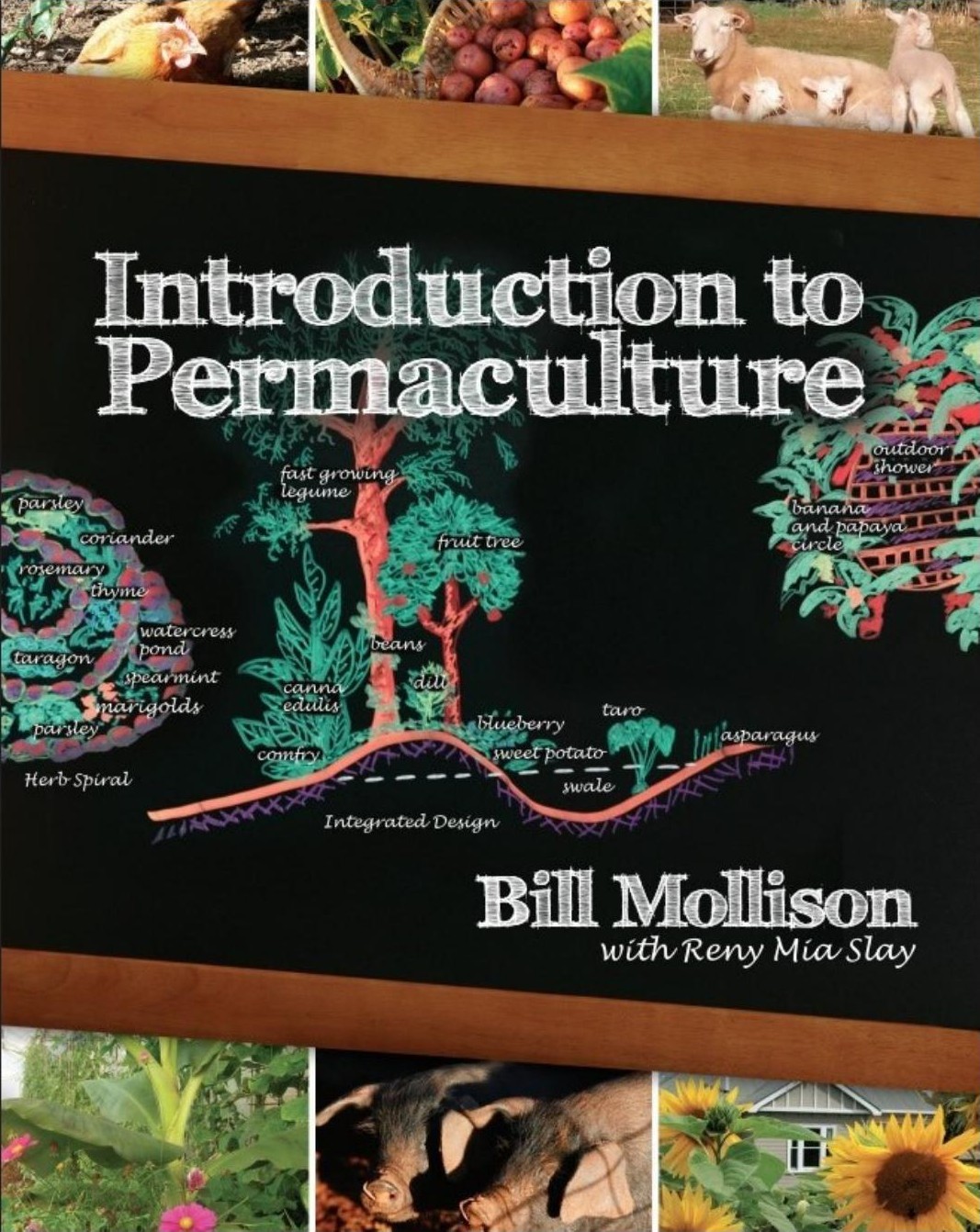 Introduction to Permaculture (PDF/EPUB Version)
