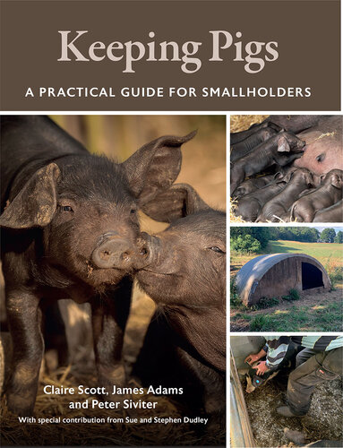 Keeping Pigs: A Practical Guide for Smallholders (PDF/EPUB Version)
