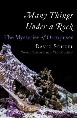 Many Things Under a Rock: The Mysteries of Octopuses (PDF/EPUB Version)
