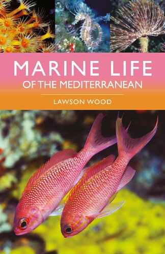 Marine Life of the Mediterranean (PDF/EPUB Version)