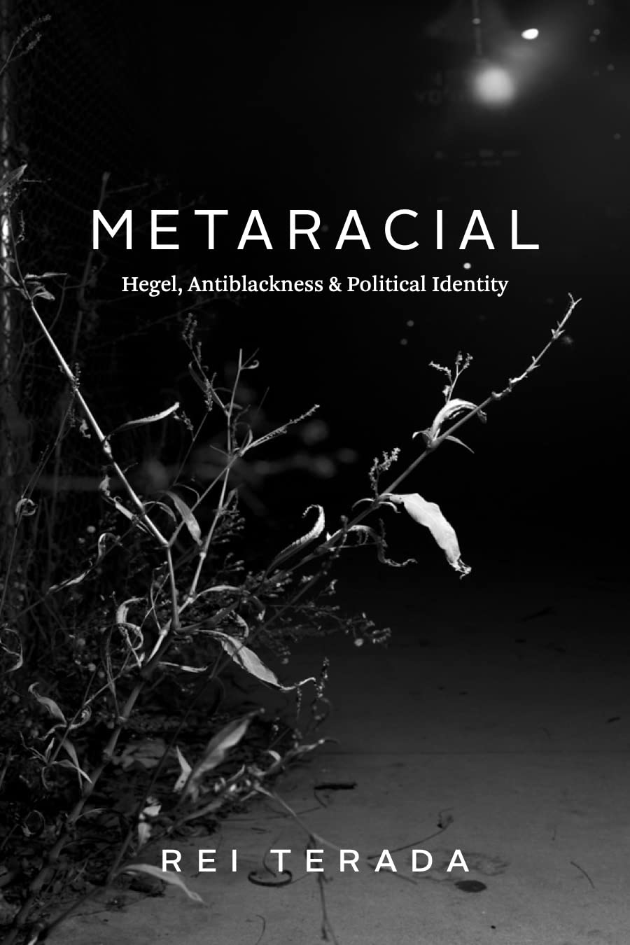 Metaracial: Hegel, Antiblackness, and Political Identity (PDF/EPUB Version)
