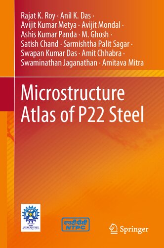 Microstructure Atlas of P22 Steel (PDF/EPUB Version)
