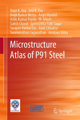 Microstructure Atlas of P91 Steel (PDF/EPUB Version)

