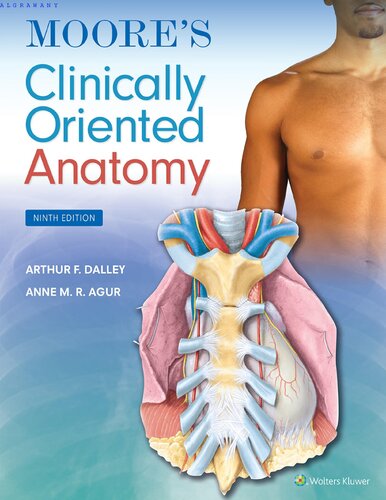 Moore's Clinically Oriented Anatomy (PDF/EPUB Version)
