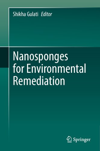 Nanosponges for Environmental Remediation (PDF/EPUB Version)
