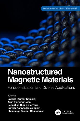 Nanostructured Magnetic Materials. Functionalization and Diverse Applications (PDF/EPUB Version)