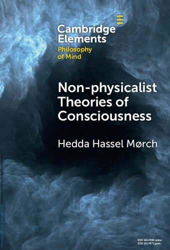 Non-physicalist Theories of Consciousness (PDF/EPUB Version)
