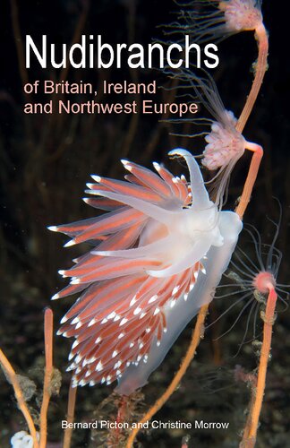 Nudibranchs of Britain, Ireland and Northwest Europe (PDF/EPUB Version)
