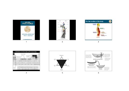 Patrick Holford - Optimum Nutrition Presentation for Integral Medicine ( Orthomolecular Medicine ) (PDF/EPUB Version)
