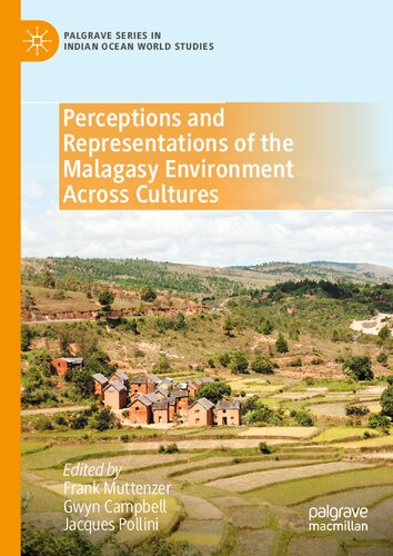 Perceptions and Representations of the Malagasy Environment Across Cultures (Palgrave Series in Indian Ocean World Studies) (PDF/EPUB Version)
