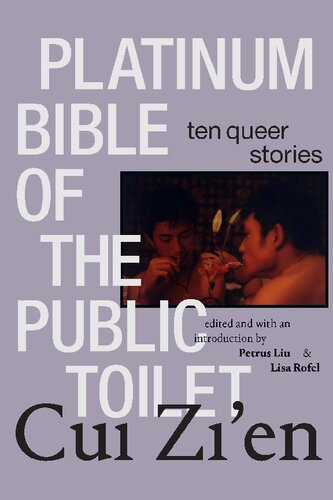 Platinum Bible of the Public Toilet: Ten Queer Stories (Sinotheory) (PDF/EPUB Version)