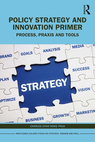 Policy Strategy and Innovation Primer: Process, Praxis and Tools (PDF/EPUB Version)
