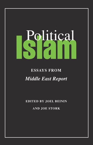 Political Islam: Essays from <i>Middle East Report</i> (PDF/EPUB Version)
