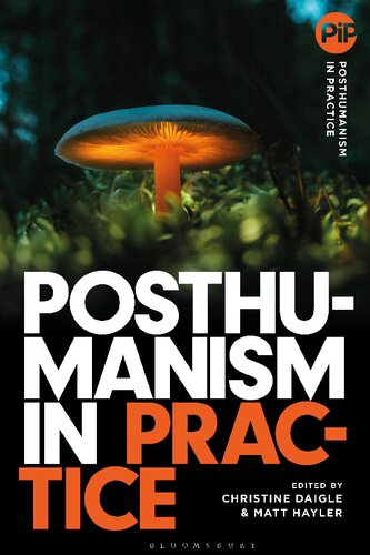Posthumanism in Practice (PDF/EPUB Version)

