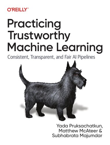 Practicing Trustworthy Machine Learning: Consistent, Transparent, and Fair AI Pipelines (PDF/EPUB Version)
