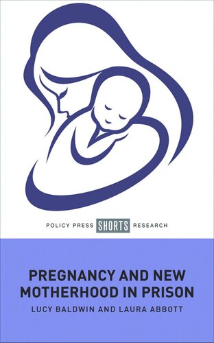 Pregnancy and New Motherhood in Prison (PDF/EPUB Version)
