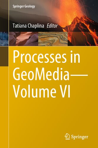 Processes in GeoMedia?Volume VI (Springer Geology) (PDF/EPUB Version)
