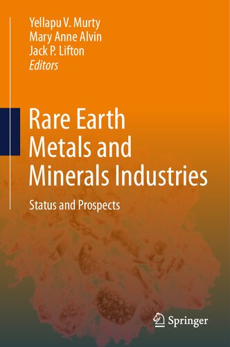 Rare Earth Metals and Minerals Industries: Status and Prospects (PDF/EPUB Version)
