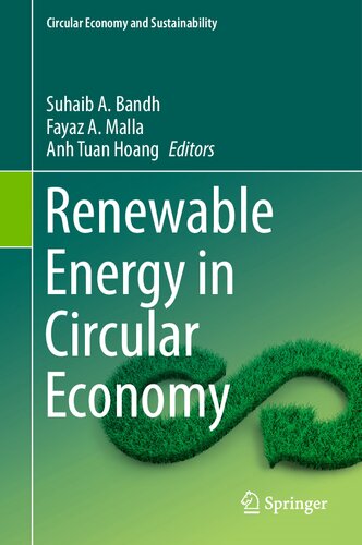 Renewable Energy in Circular Economy (Circular Economy and Sustainability) (PDF/EPUB Version)
