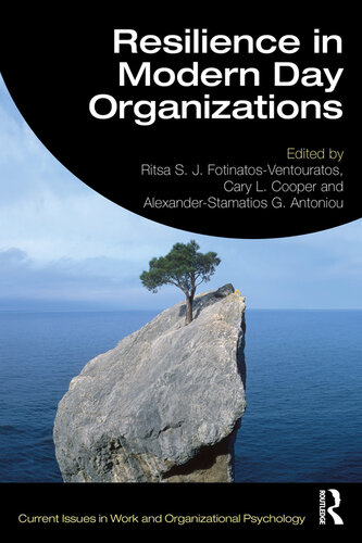 Resilience in Modern Day Organizations (PDF/EPUB Version)
