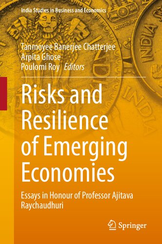Risks and Resilience of Emerging Economies: Essays in Honour of Professor Ajitava Raychaudhuri (India Studies in Business and Economics) (PDF/EPUB Version)
