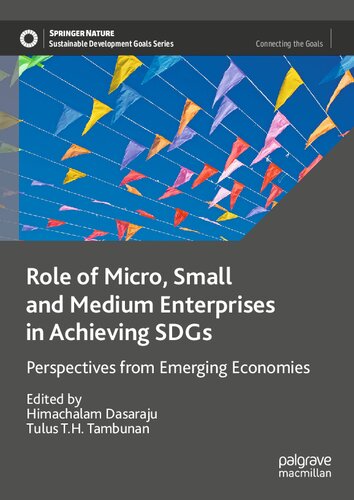 Role of Micro, Small and Medium Enterprises in Achieving SDGs: Perspectives from Emerging Economies (Sustainable Development Goals Series) (PDF/EPUB Version)
