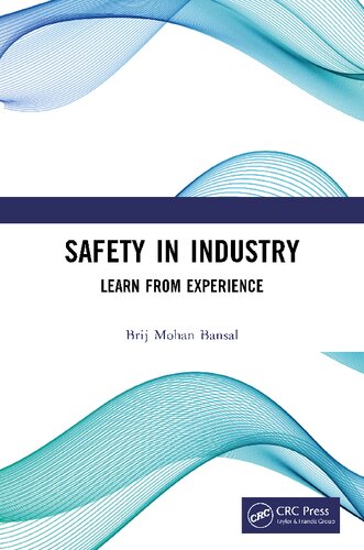 Safety in Industry (PDF/EPUB Version)