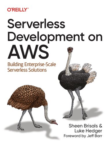 Serverless Development on AWS: Building Enterprise-Scale Serverless Solutions (PDF/EPUB Version)