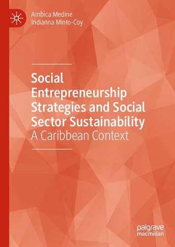 Social Entrepreneurship Strategies and Social Sector Sustainability: A Caribbean Context (PDF/EPUB Version)
