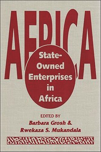 State-Owned Enterprises in Africa (PDF/EPUB Version)
