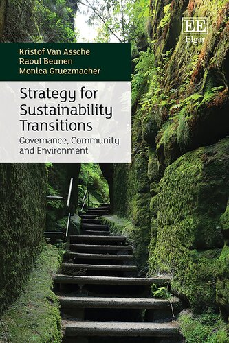 Strategy for Sustainability Transitions: Governance, Community and Environment (PDF/EPUB Version)
