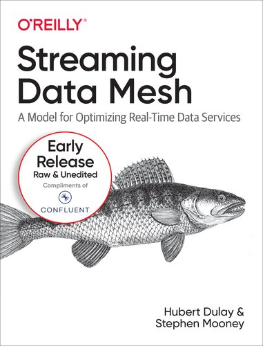 Streaming Data Mesh (8th Early Release) (PDF/EPUB Version)
