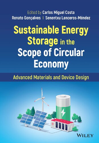 Sustainable Energy Storage in the Scope of Circular Economy: Advanced Materials and Device Design (PDF/EPUB Version)
