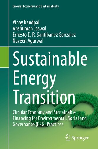 Sustainable Energy Transition: Circular Economy and Sustainable Financing for Environmental, Social and Governance (ESG) Practices (PDF/EPUB Version)