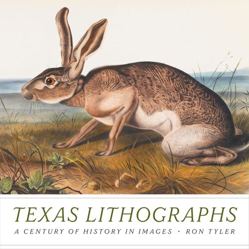 Texas Lithographs: A Century of History in Images (PDF/EPUB Version)

