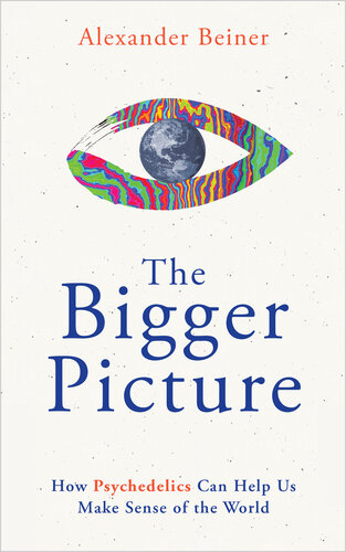 The Bigger Picture (PDF/EPUB Version)
