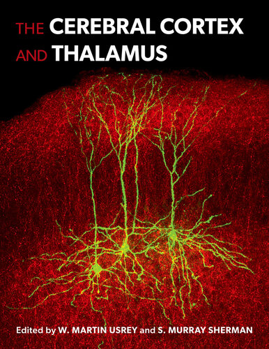 The Cerebral Cortex and Thalamus (PDF/EPUB Version)
