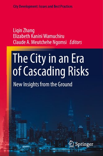 The City in an Era of Cascading Risks: New Insights from the Ground (City Development: Issues and Best Practices) (PDF/EPUB Version)

