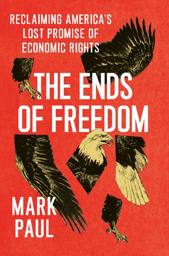 The Ends of Freedom: Reclaiming America's Lost Promise of Economic Rights (PDF/EPUB Version)

