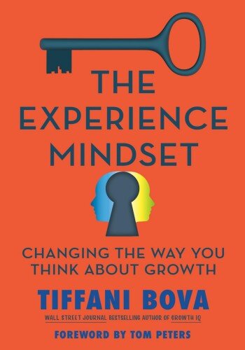 The Experience Mindset: Changing the Way You Think About Growth (PDF/EPUB Version)
