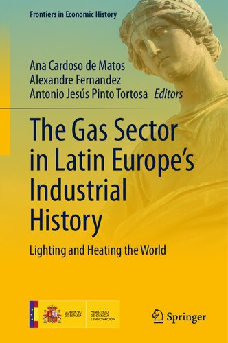 The Gas Sector in Latin Europe’s Industrial History: Lighting and Heating the World (Frontiers in Economic History) (PDF/EPUB Version)
