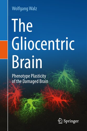 The Gliocentric Brain: Phenotype Plasticity of the Damaged Brain (PDF/EPUB Version)