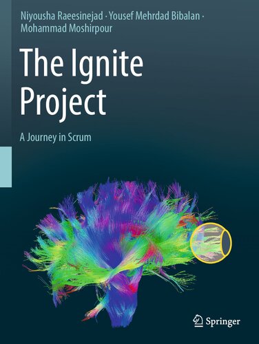 The Ignite Project: A Journey in Scrum (PDF/EPUB Version)
