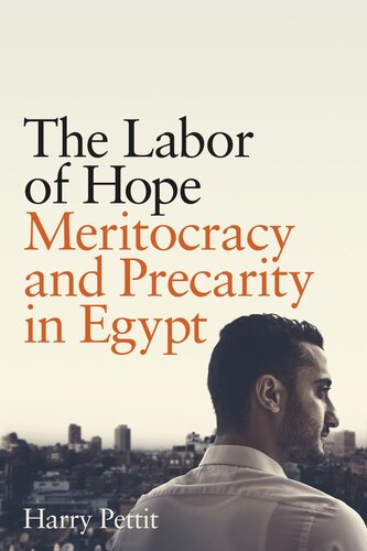 The Labor of Hope: Meritocracy and Precarity in Egypt (PDF/EPUB Version)
