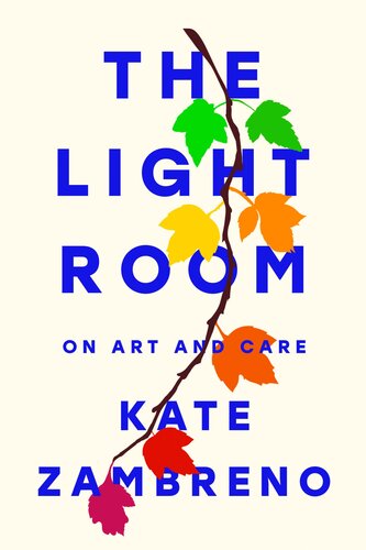 The Light Room (PDF/EPUB Version)
